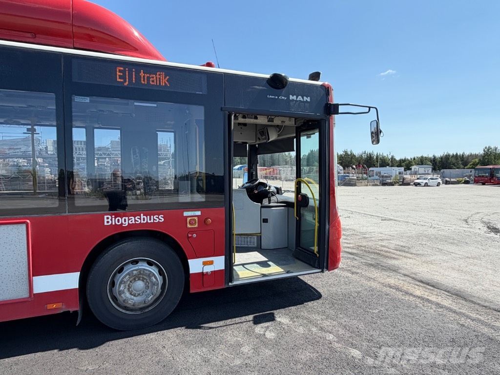 MAN LION´S CITY CNG (14 BUSES FOR SALE) EURO6 Autobús urbano